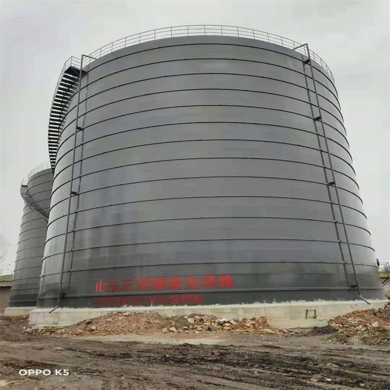 岳池3万吨大型钢板库