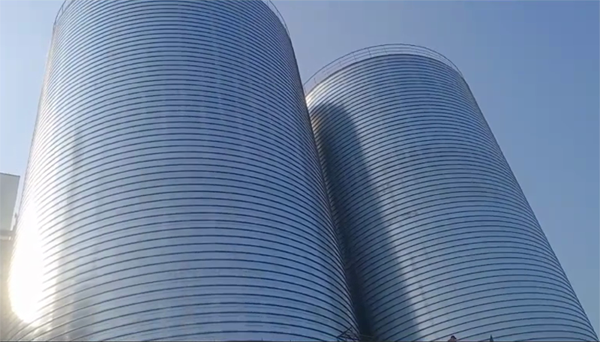 岳池2座混凝土高架卷板仓